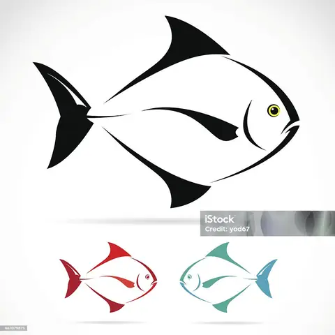 Hình Con Cá Vector