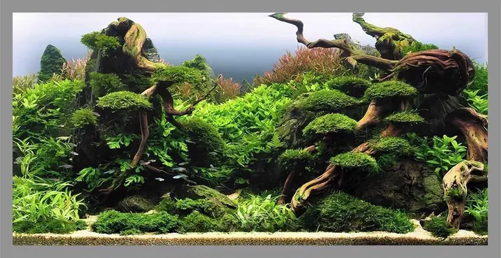 Hình Dán Hồ Cá Hình Dán Hồ Cá
