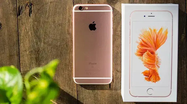 Hình Nền Cá Chọi Iphone 6s Full Hd