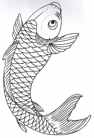 Hình Vẻ Cá Chép
