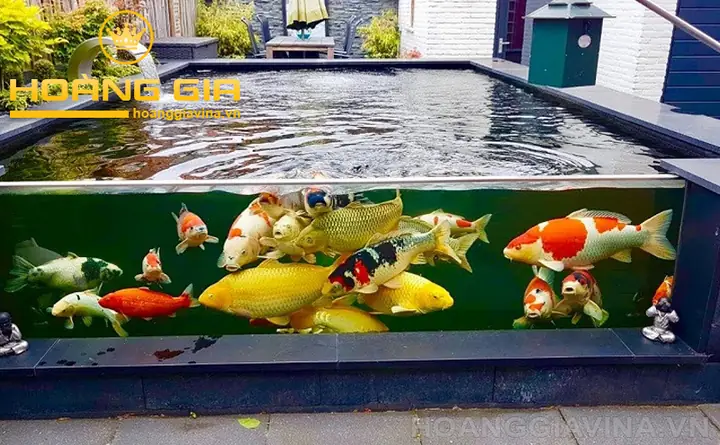 Hồ Cá Bằng Kính
