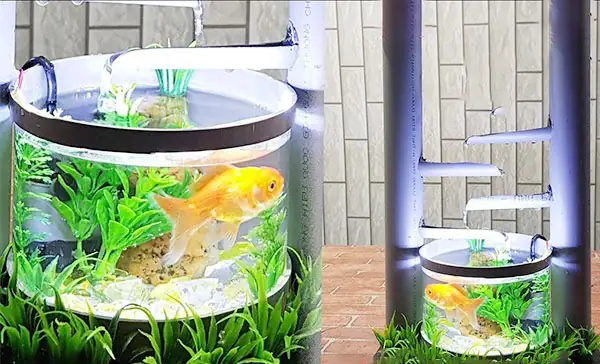 Hồ Cá Bằng Ống Nhựa