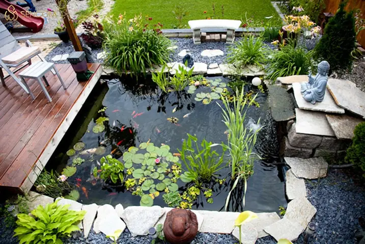 Hồ Cá Bảy Màu Ngoài Trời