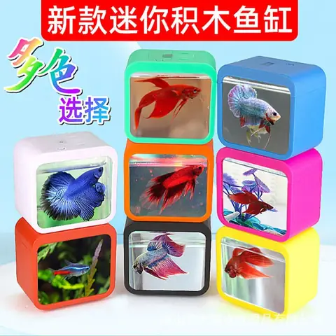 Hồ Cá Betta Mini