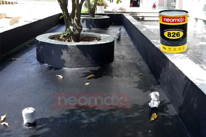 Hồ Cá Bị Thấm Nước