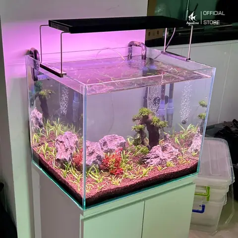 Hồ Cá Bình Tích