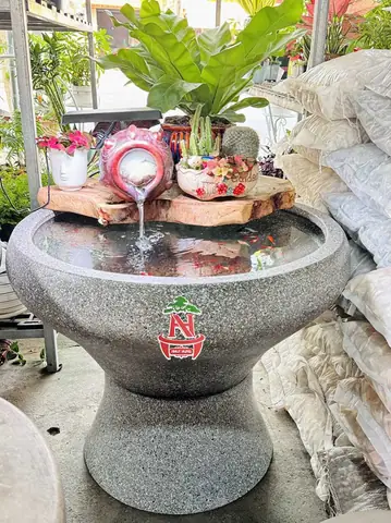 Hồ Cá Chậu Cây