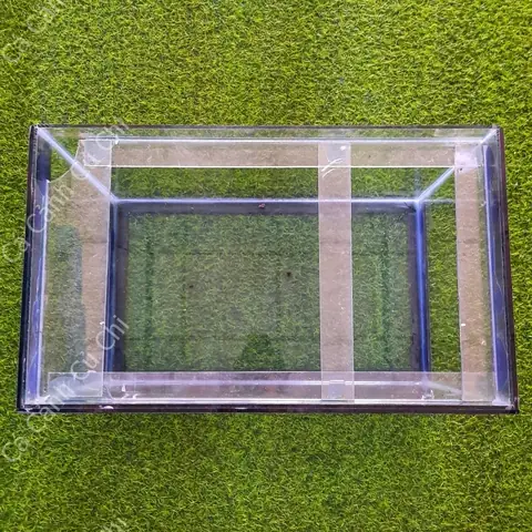 Hồ Cá Có Kiềng
