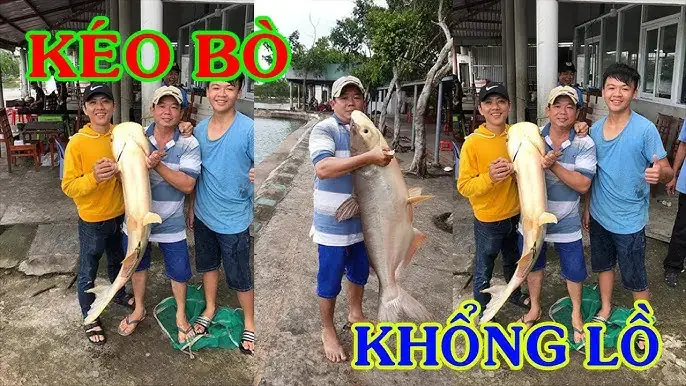 Hồ Cá Cộng Đồng Đẹp