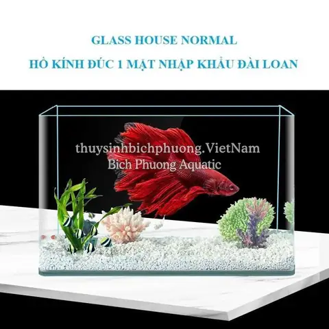 Hồ Cá Đài Loan