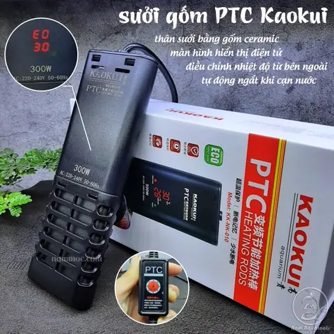 Hồ Cá Điện Tử