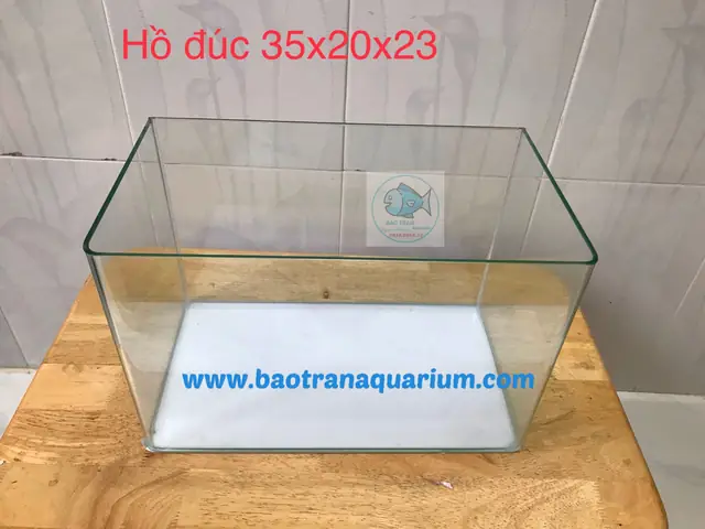Hồ Cá Đúc Mini