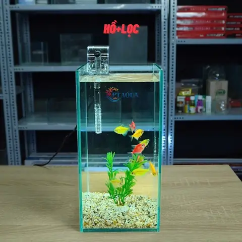 Hồ Cá Đứng Mini