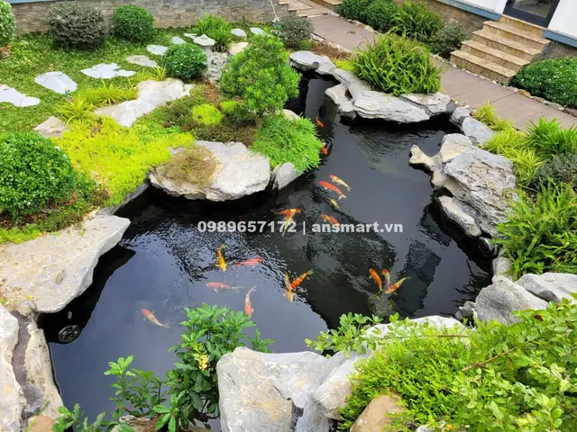 Hồ Cá Hải Dương
