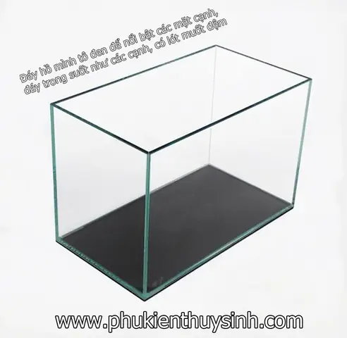 Hồ Cá Kính 8 Ly