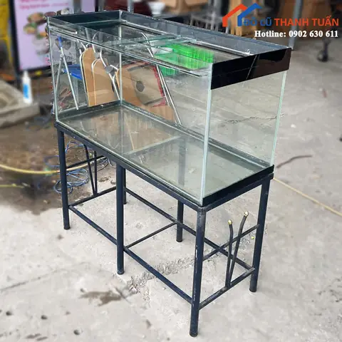 Hồ Cá Kính Đẹp