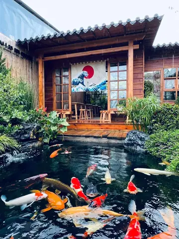 Hồ Cá Koi Nhật