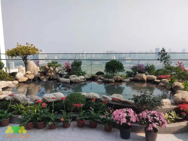 Hồ Cá Koi Sân Thượng