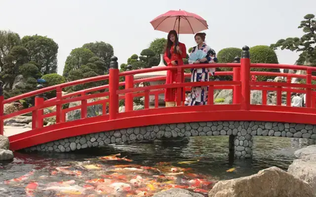 Hồ Cá Koi Trần Văn Mười