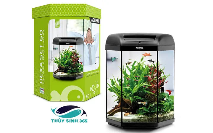 Hồ Cá Lục Giác
