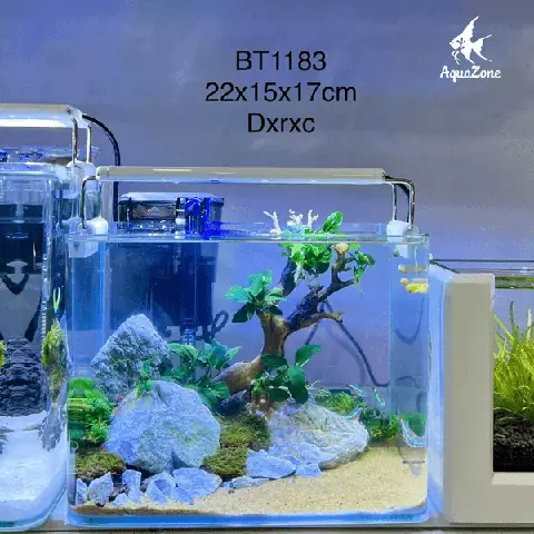 Hồ Cá Mini Có Lọc