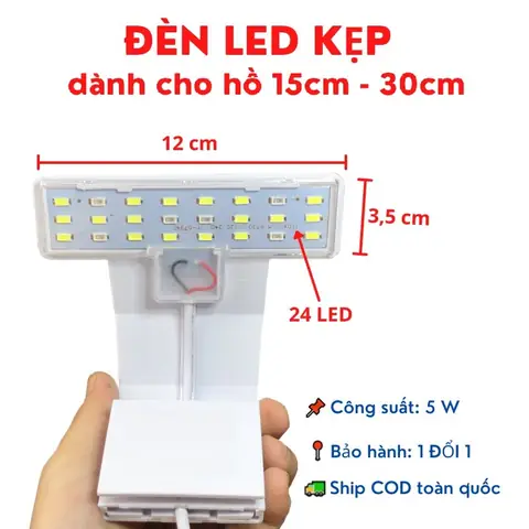 Hồ Cá Mini Giá Rẻ