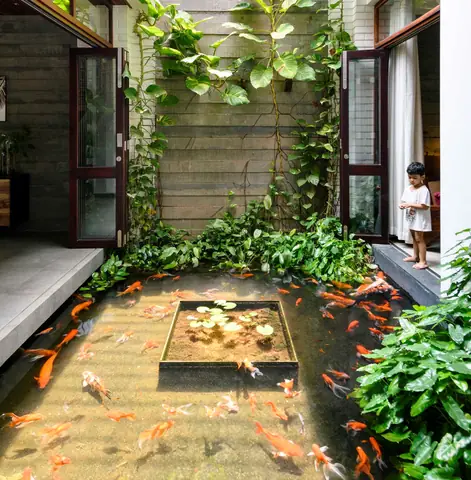 Hồ Cá Nhỏ Trong Nhà