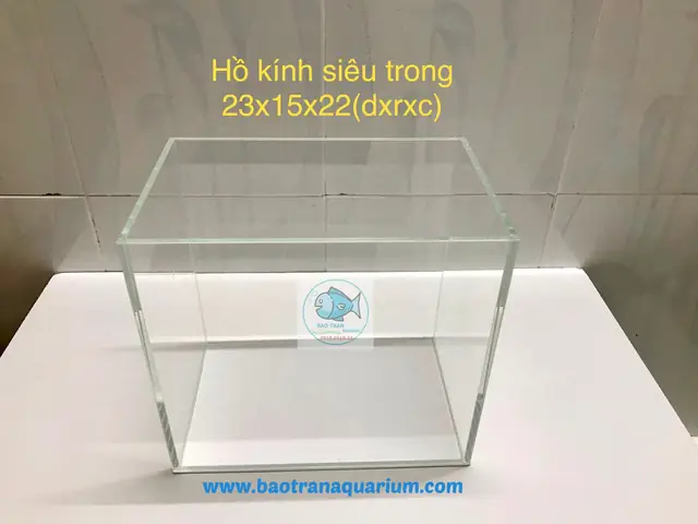 Hồ Cá Siêu Trong