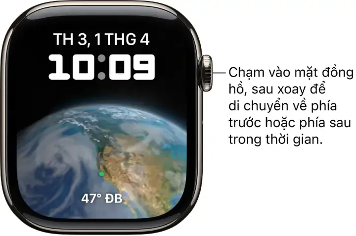 Hồ Cá Thông Minh Tự Thay Nước