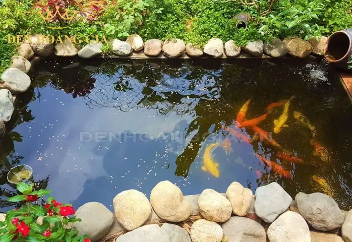 Hồ Cá Tự Xây