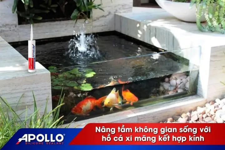 Hồ Cá Xi Măng Kết Hợp Kính