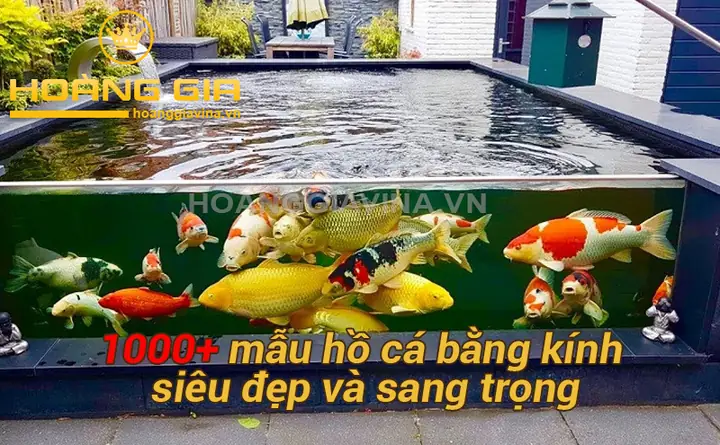 Hồ Kính Nuôi Cá Đẹp