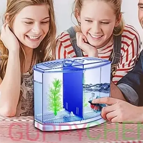 Hồ Mica Nuôi Cá