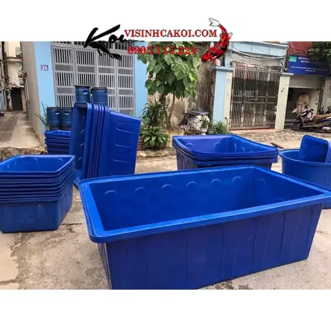 Hồ Nhựa Nuôi Cá Koi