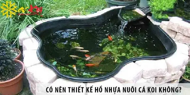 Hồ Nuôi Cá Koi