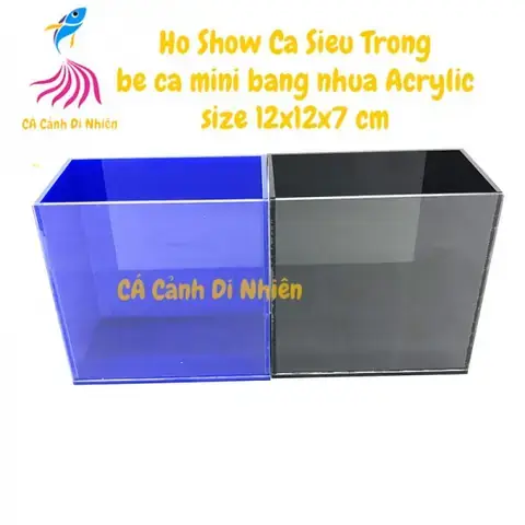 Hồ Show Cá Betta