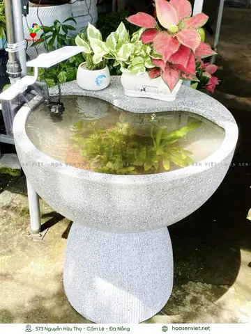 Hồ Xi Măng Nuôi Cá