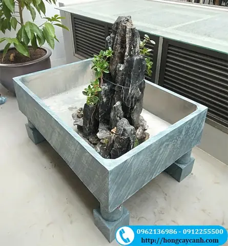 Hồ Xi Măng Nuôi Cá Cảnh