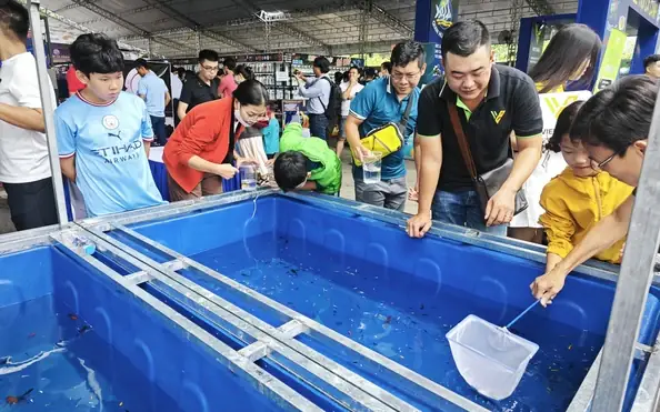 Hội Cá La Hán