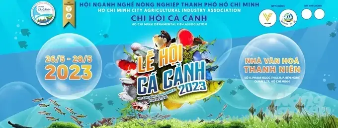 Hội Chợ Cá Cảnh Tphcm