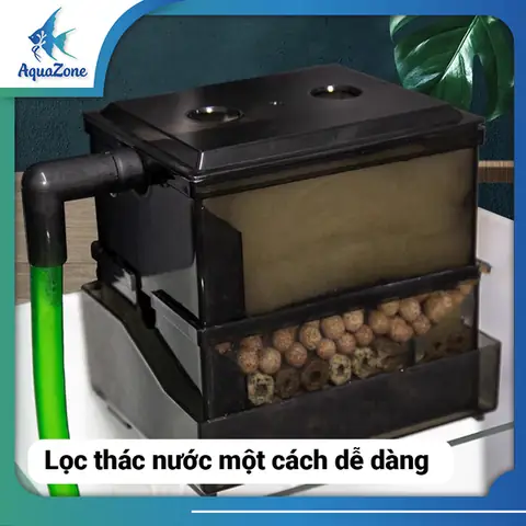 Hộp Lọc Bể Cá