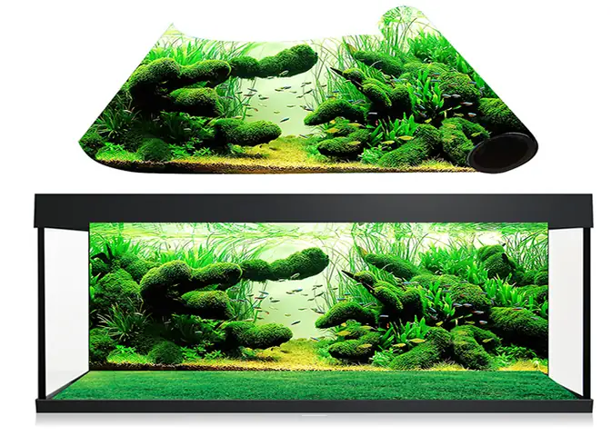 Hướng Dẫn Dán Tranh 3d Bể Cá