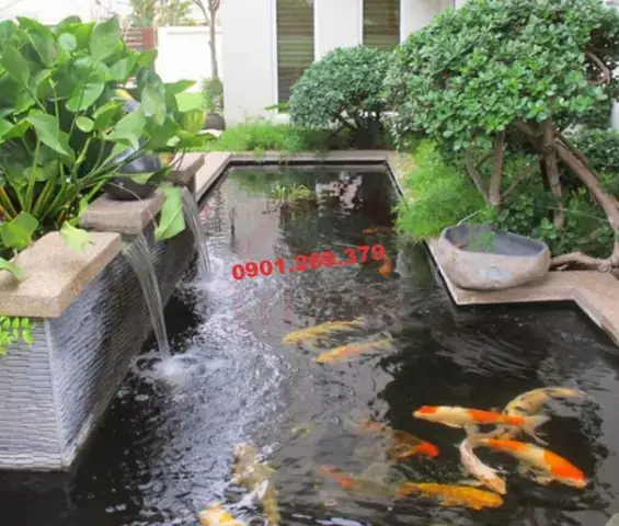 Hướng Dẫn Làm Thác Nước Hồ Cá