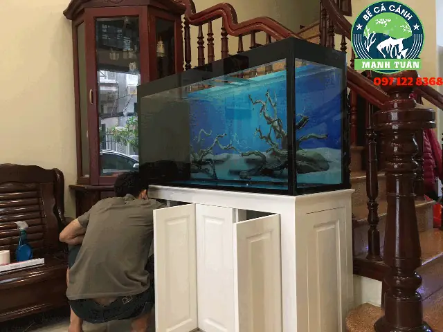 Hút Mặt Hồ Cá Rồng