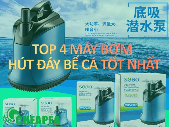 Hút Phân Đáy Bể Cá