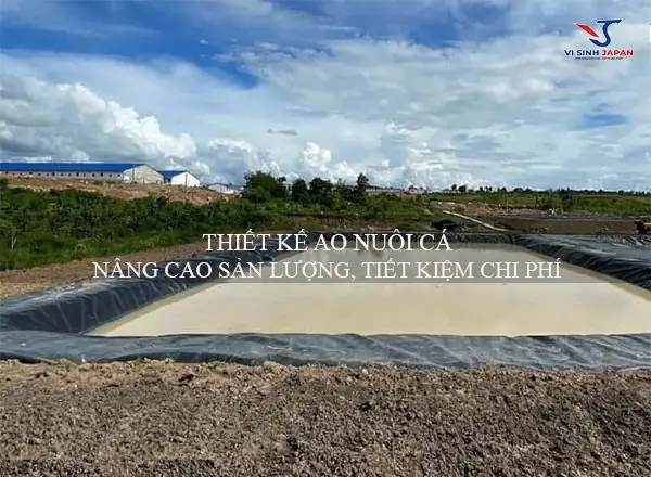 Kè Ao Nuôi Cá