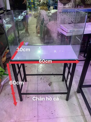 Kệ Hồ Cá Bằng Sắt