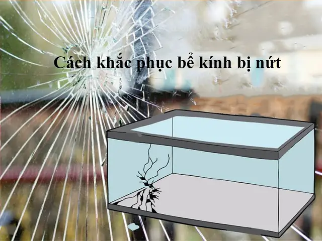 Keo Dán Kính Bể Cá Bị Nứt