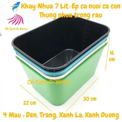 Khay Nhựa Ép Cá