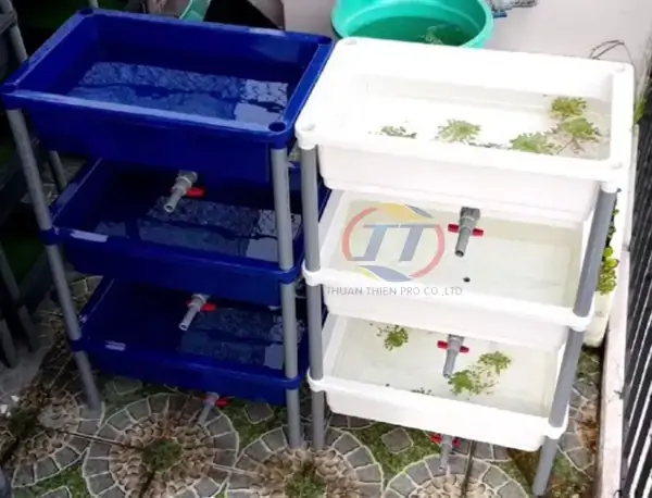 Khay Nhựa Nuôi Cá 3 Tầng
